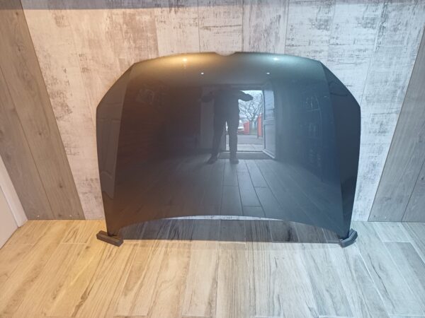VW POLO 9N 2009 – 2017 BONNET GREY COLOUR